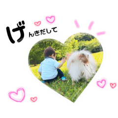 akane_20181204194423