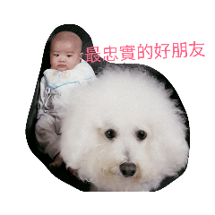 睎小妞表情包