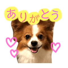 ayumi_20181204224944