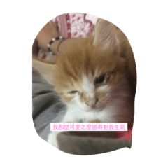 羚羚美女