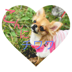 Chisa_20181204151031