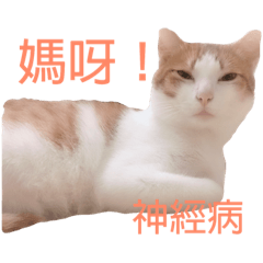 哺哺.