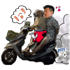lovely HuaHua partII