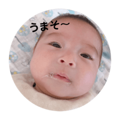 sumire_20181205163208