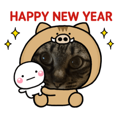 kie_20181205201301