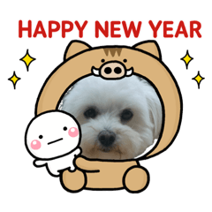 kie_20181205201457