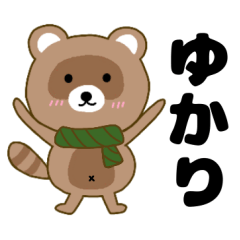 Raccoon2 Yukari