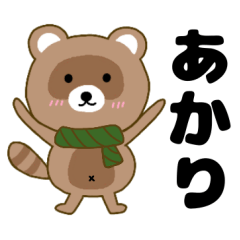 Raccoon2 Akari