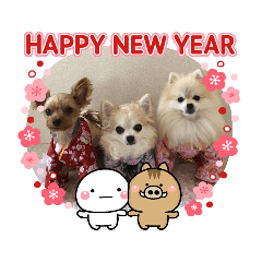 Natsu & Hana & Hina New Year Stamp 2019