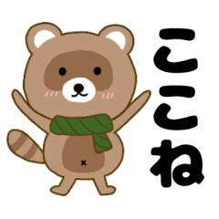 Raccoon2 Kokone