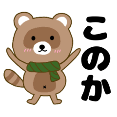 Raccoon2 Konoka