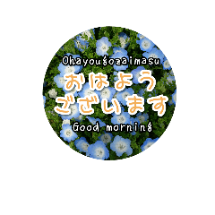 Flower Japanese&English