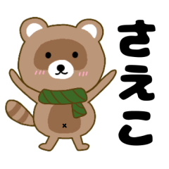 Raccoon2 saeko