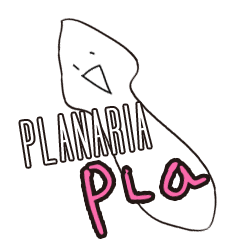 planaria plapla