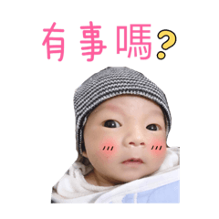 可愛豆豆1