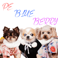 PE BLUE BERRY cute Sticker