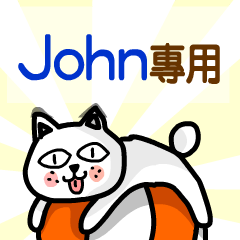 The cute cat-John