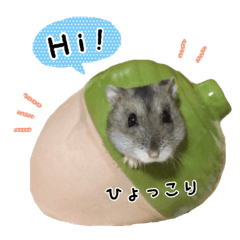 Hamster Chibi 4