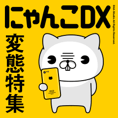 にゃんこdx 4a Studio よんえーすたじお にゃんこdx 4a Studio よんえーすたじお
