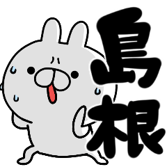 tanuchan shimane rabbit2
