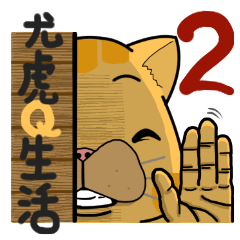 Yo-Hu Exotic Shorthair Cat Part2