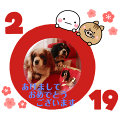 Yama_20181205212948
