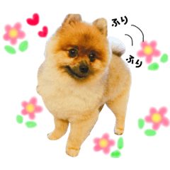 Yukari_20181206031030