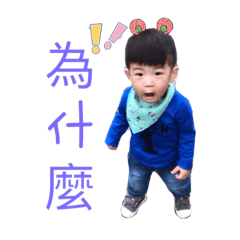 元寶很忙～