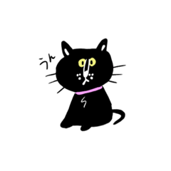 Black cat KURORO!!