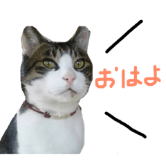 ponta122