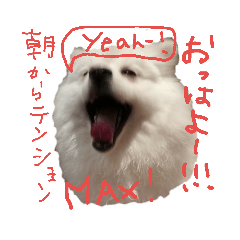 moco_20181206192020