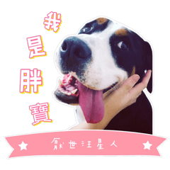 厭世汪星人x胖寶