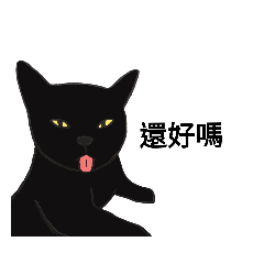 鄙視你的黑喵