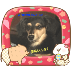 kaito_20181203212851