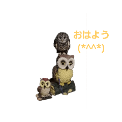 Owl_20181205092110