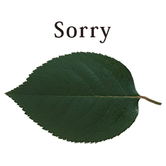 葉っぱ と 英語 English Line スタンプ Line Store