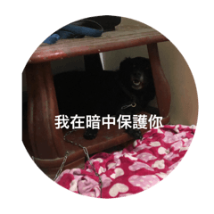 寵物們