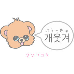 Korean beginner bear