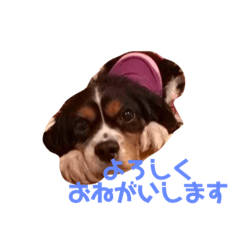 Yama_20181207220300