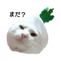 Nanami_20181207192656