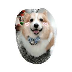 kuma熊醬