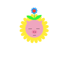 Sun flower pig