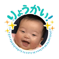 Hachi_20181206010538