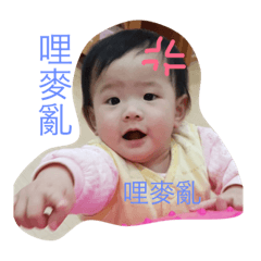米寶來囉～2