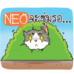 NEO cheeky cat e