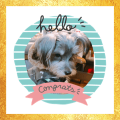 SACHI_20181207193416