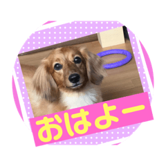 TON4