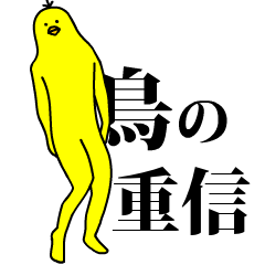 0以上 しゃべる 鳥 喋る 鳥 種類