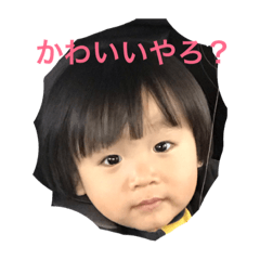 pon_20181208133548