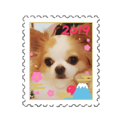 Asako_20181208144438